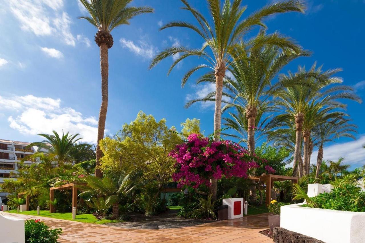 Duplex 3 Bed Apartment In Las Americas By Dream Homes Tenerife Playa de las Américas Buitenkant foto